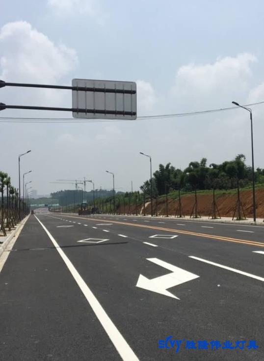 成都双流感知中心牧华路道路灯
